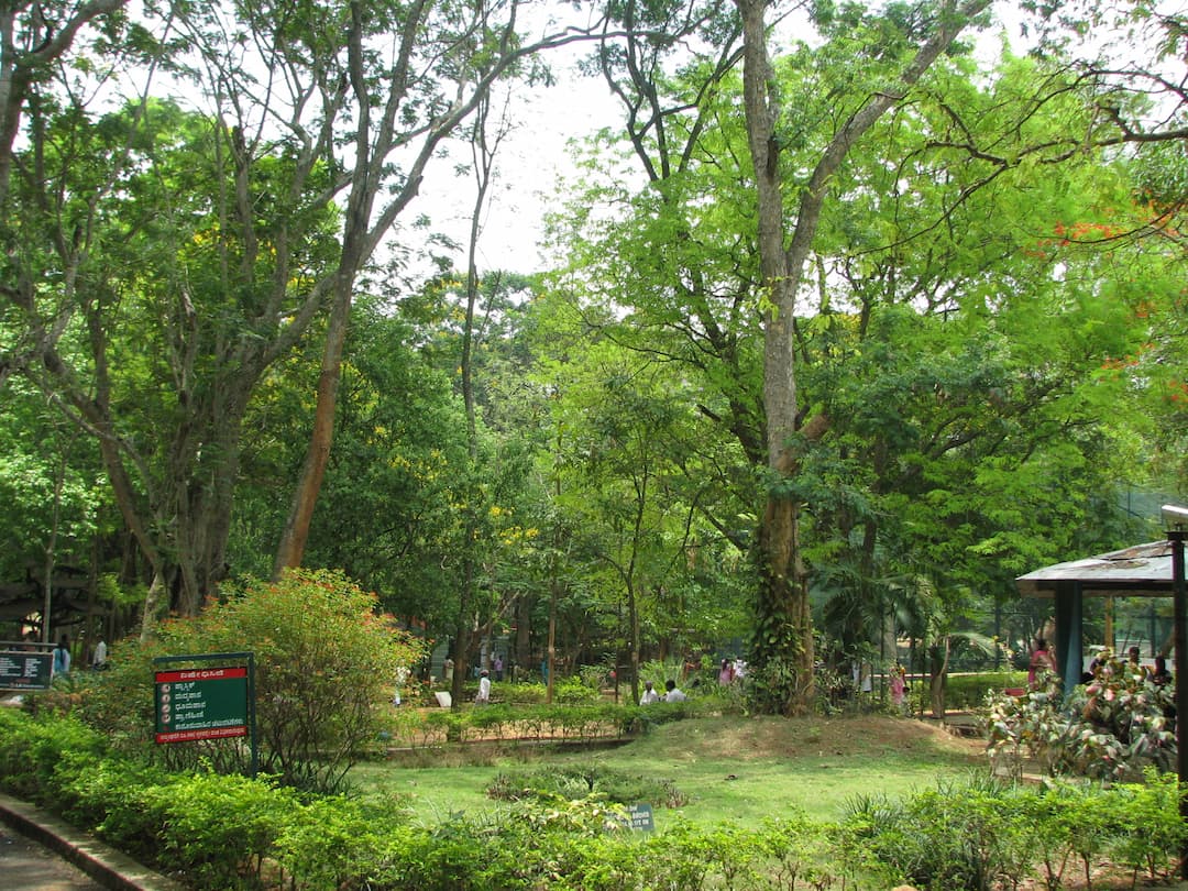 package main image